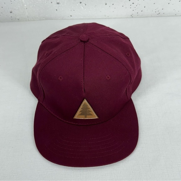 The Landmark Project Burgundy Adjustable SnapBack Hat with Tree Patch - Picture 6 of 11